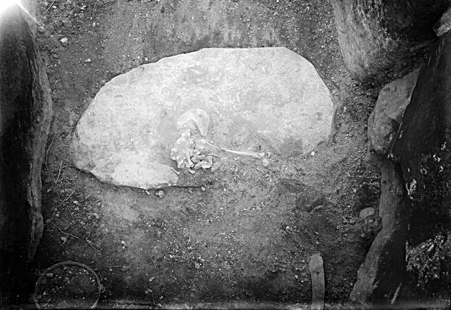 Coldrum Stone text awaited